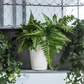 Lechuza DELTINI,outdoor garden pot