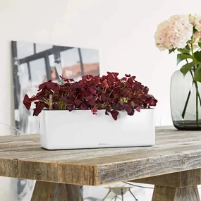 Lechuza Glossy CUBE Triple,outdoor garden pot