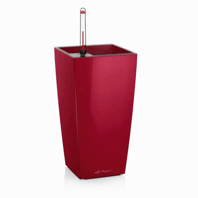 Lechuza MAXI CUBI