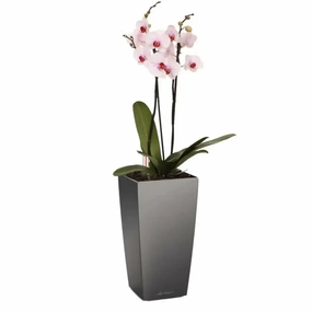 Lechuza MAXI CUBI,outdoor garden pot