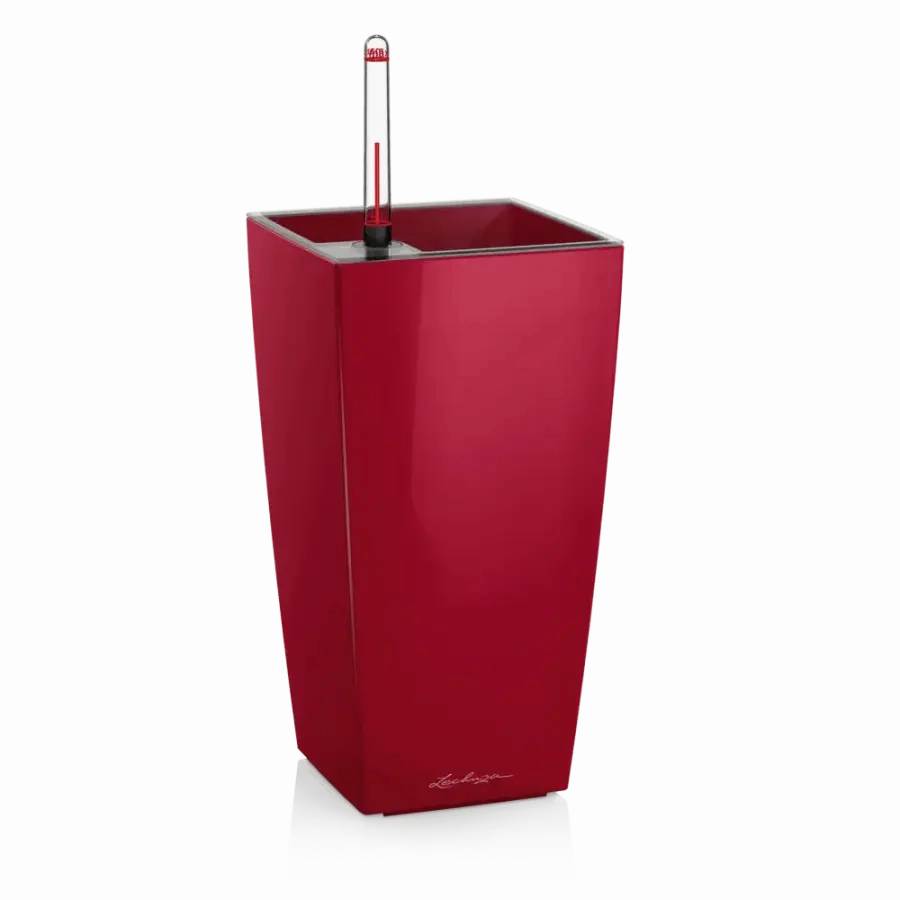 Lechuza MINI CUBI