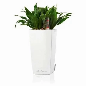 Lechuza MINI CUBI,outdoor garden pot
