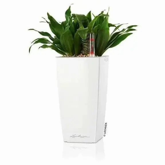 Lechuza MINI CUBI,outdoor garden pot