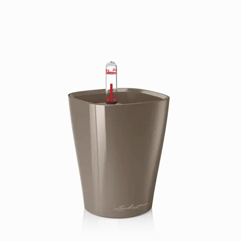 Lechuza MINI DELTINI