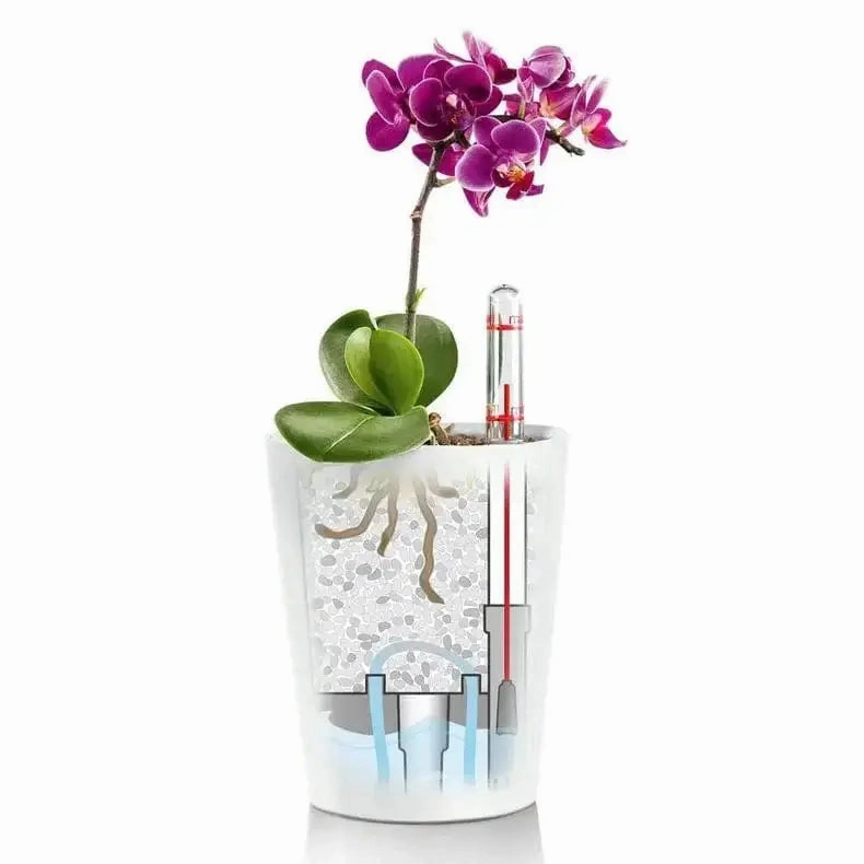Lechuza MINI DELTINI