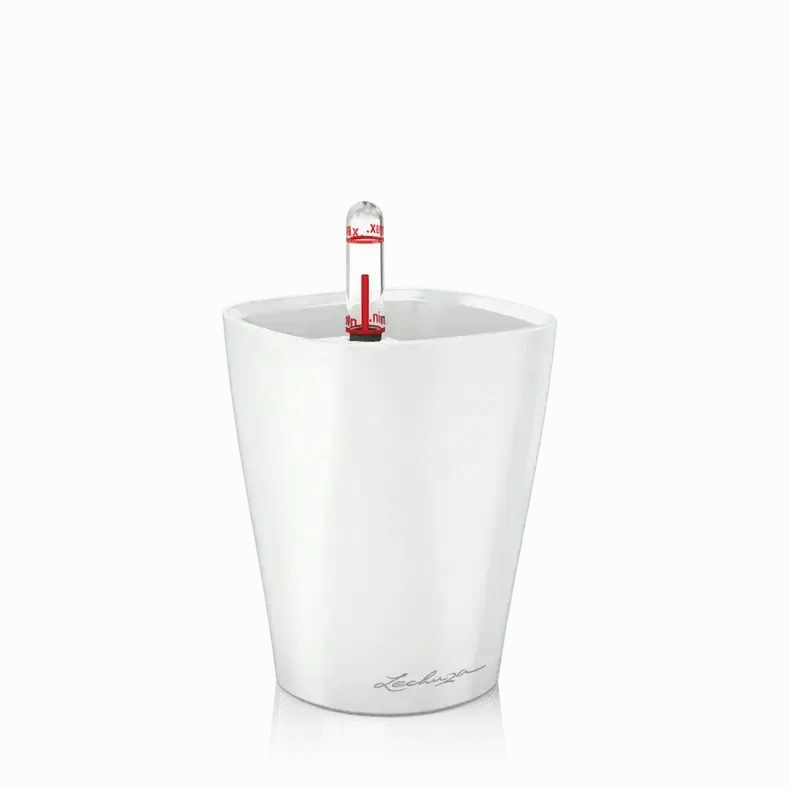 Lechuza MINI DELTINI
