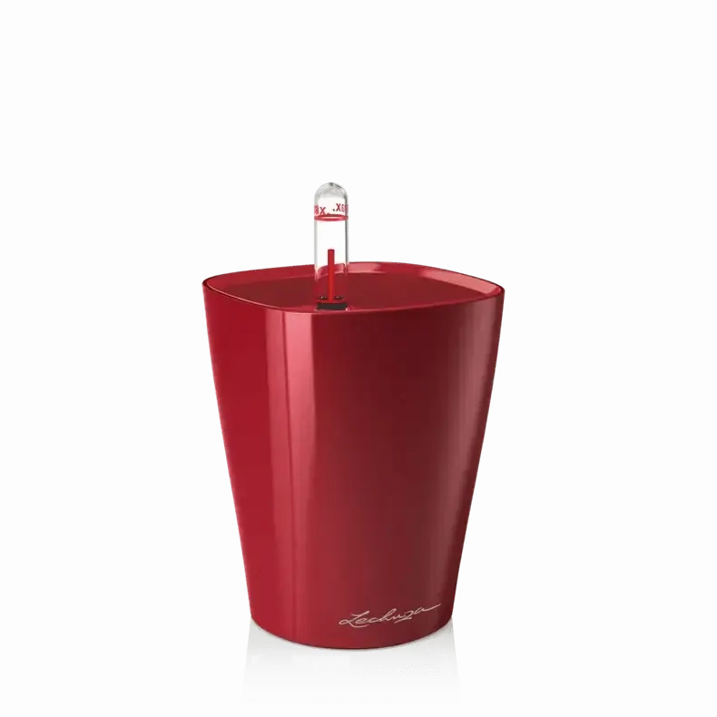 Lechuza MINI DELTINI