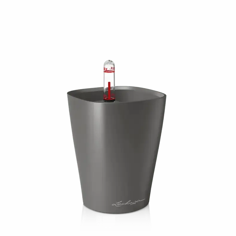 Lechuza MINI DELTINI