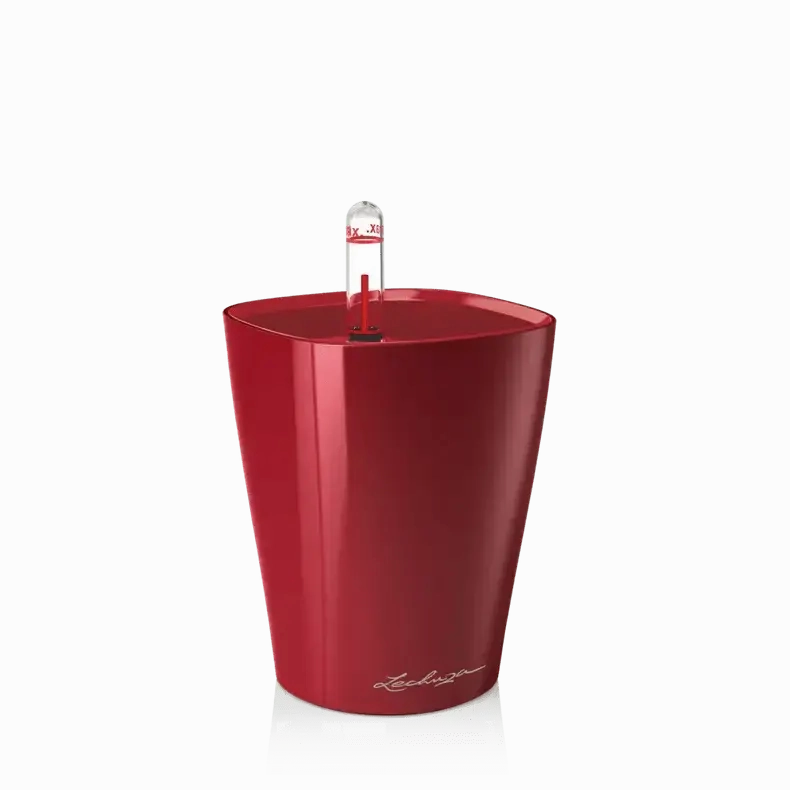 Lechuza MINI DELTINI