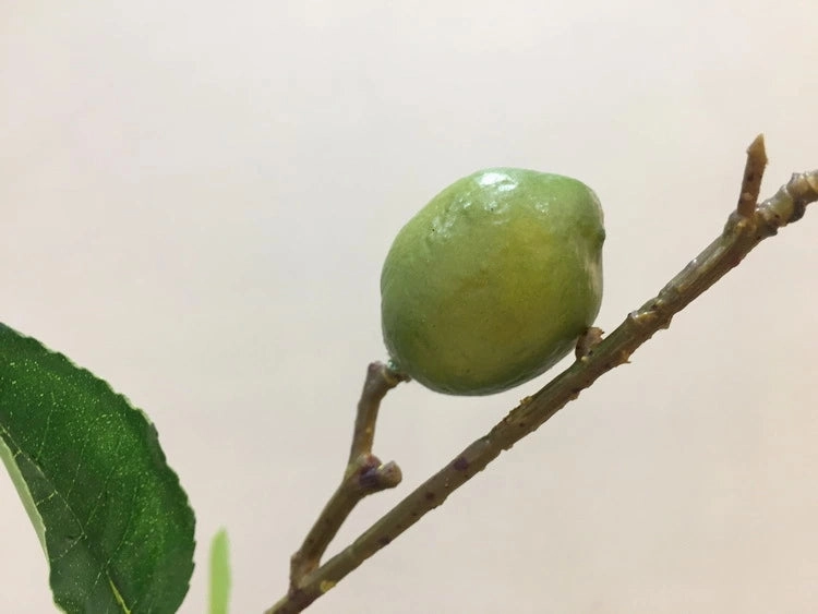 Lemon Artificial Silk Flower Fruit Spray Green LEMON002