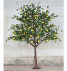 Lemon Tree 9.8 feet/3m artificial flower bouquet  