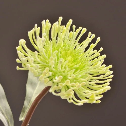 Leucospermum Artificial Silk Flower 55cm Stem Green LEUCOSPERMUM002