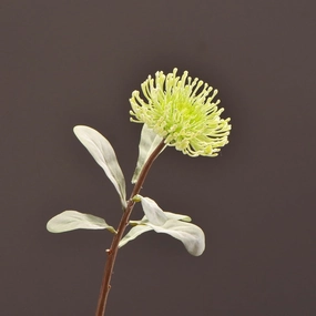 Leucospermum Artificial Silk Flower 55cm Stem Green LEUCOSPERMUM002,dried artificial flower