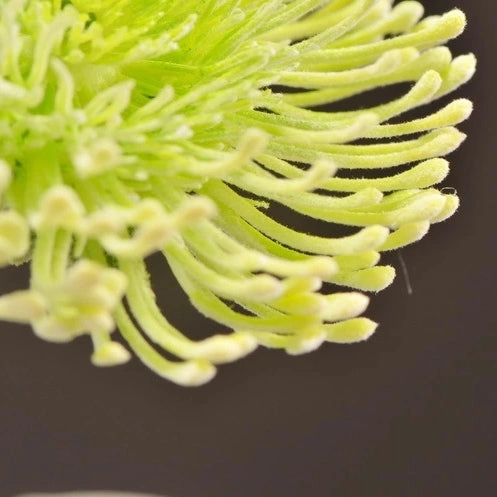 Leucospermum Artificial Silk Flower 55cm Stem Green LEUCOSPERMUM002