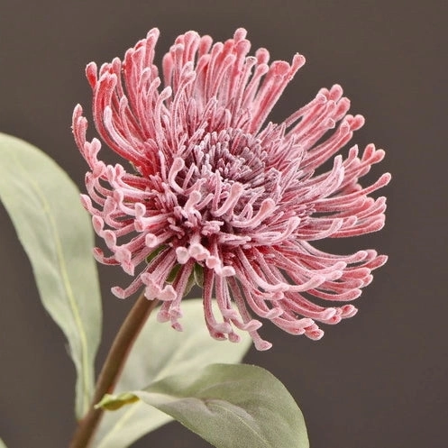 Leucospermum Artificial Silk Flower 55cm Stem Red LEUCOSPERMUM003