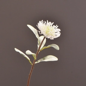 Leucospermum Artificial Silk Flower 55cm Stem White LEUCOSPERMUM008,dried artificial flower