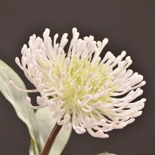Leucospermum Artificial Silk Flower 55cm Stem White LEUCOSPERMUM008