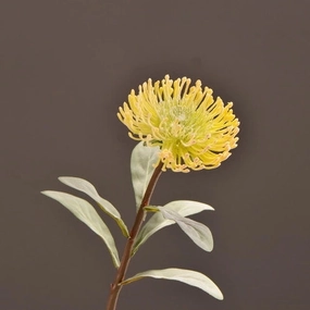 Leucospermum Artificial Silk Flower 55cm Stem Yellow LEUCOSPERMUM001,dried artificial flower