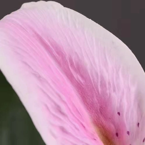Lily Artificial Silk 3D Real Touch Flower 387Stem Pink LILY001