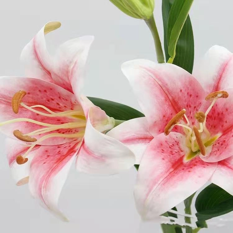 Lily Artificial Silk Flowers Oriental Lily Pink LILY004
