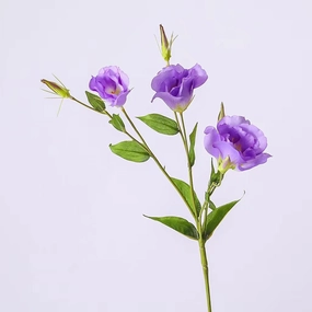 Lisianthus 7 Heads Artificial Silk Flower 67cm Stem Purple LISIANTHUS003,dried artificial flower