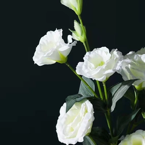 Lisianthus Artificial Silk Flower 70cm Stem LISIAN009-012,dried artificial flower