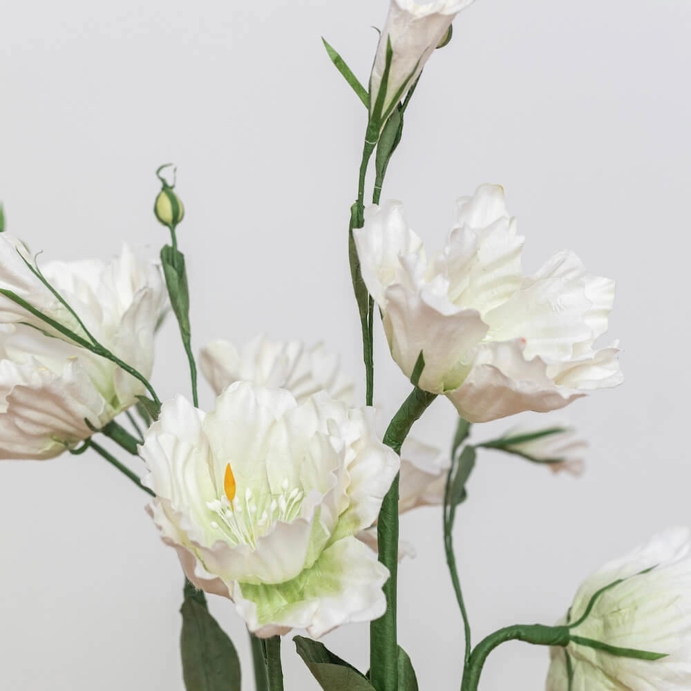 Lisianthus en papier blanc