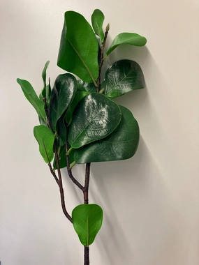 Long stem greenery Baby fiddle realistic flower bouquet  