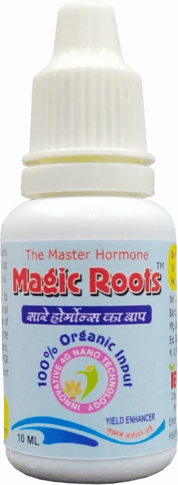 Magic Roots Master Hormone Plant Yeild Enhancer(10 Grams),potted plant decor