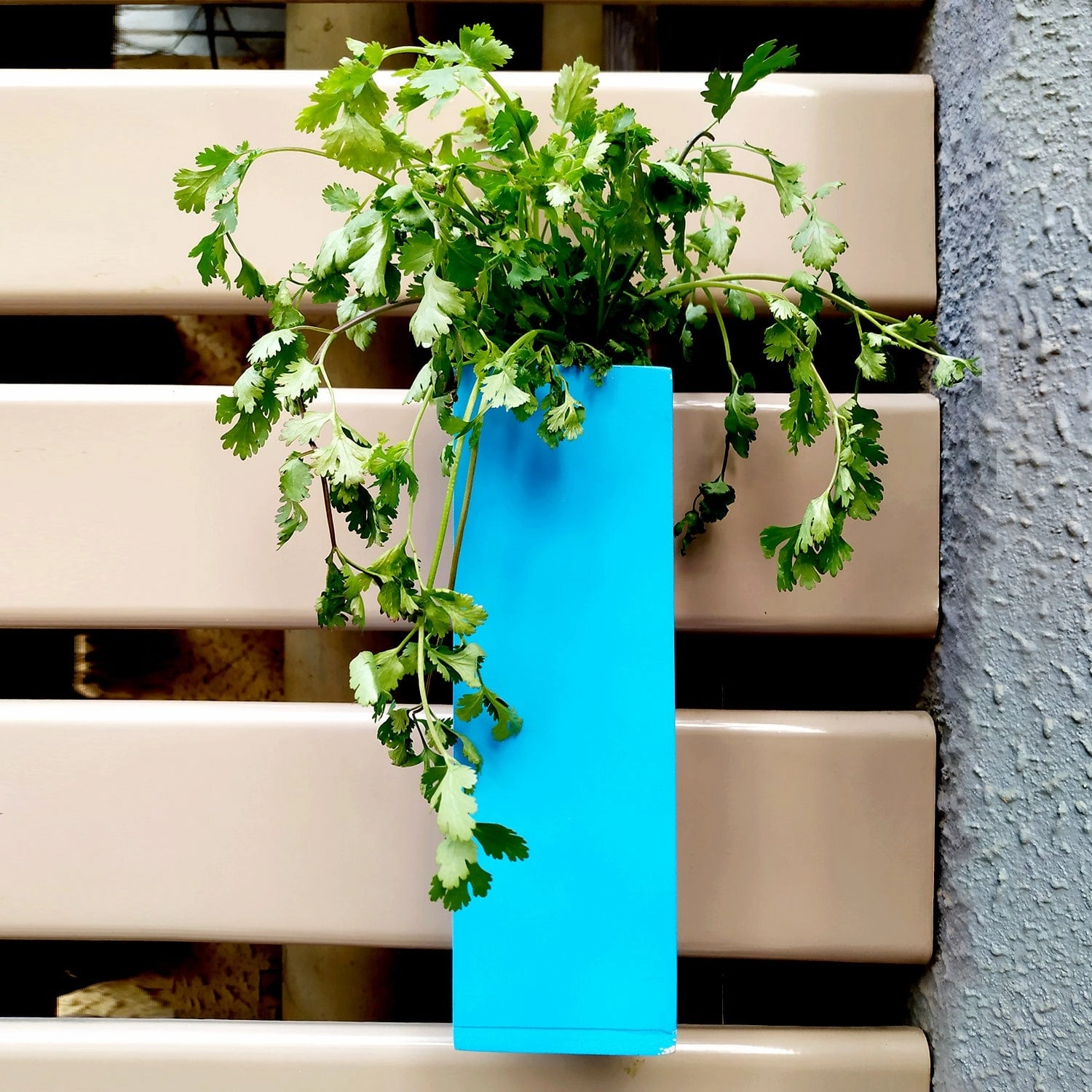 Magnetic Hydroponic or Artificial Plants Holder
