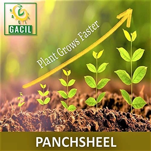 Manganese Sulphate Mono Hydrate Micronutrient Fertilizer