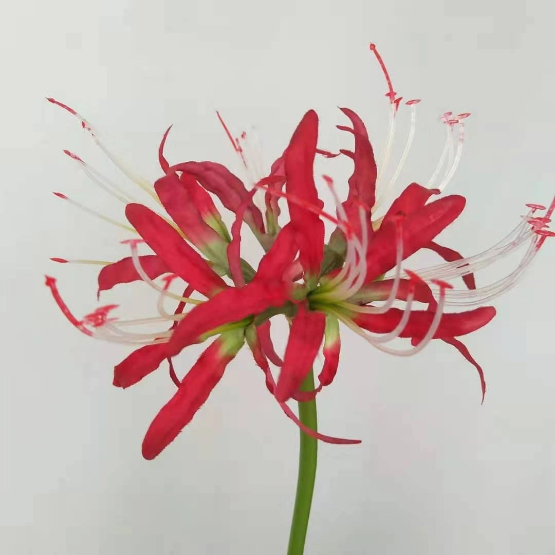 Manjusaka Artificial Silk Flowers Stem,dried artificial flower