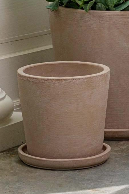 Maracay Shell Planter Medium,indoor flower container