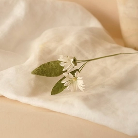 Marguerites sauvages en papier blanche,mother's day bouquet