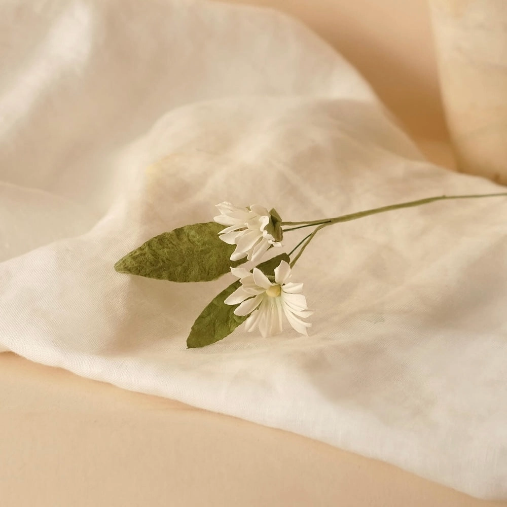 Marguerites sauvages en papier blanche,mother's day bouquet