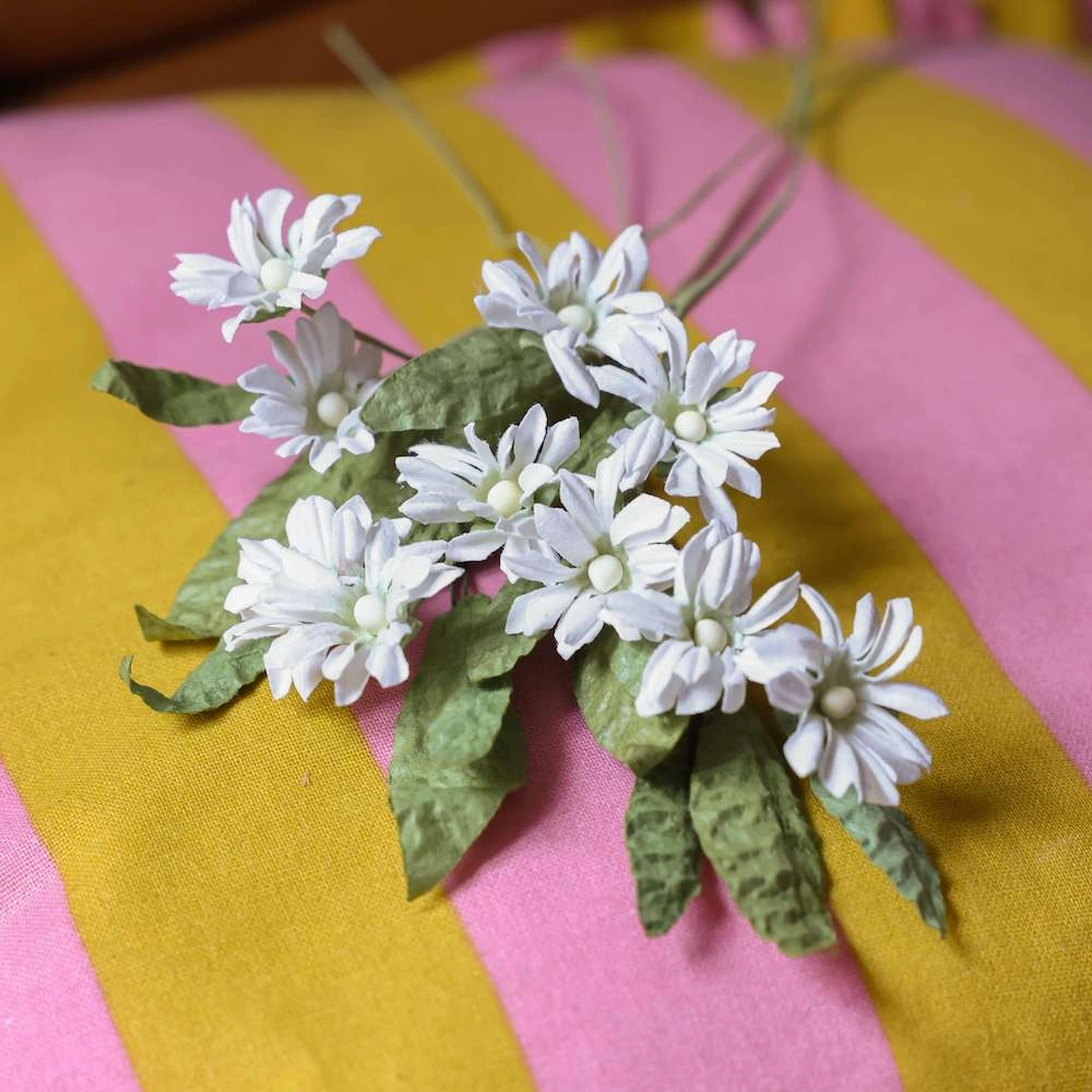 Marguerites sauvages en papier blanche