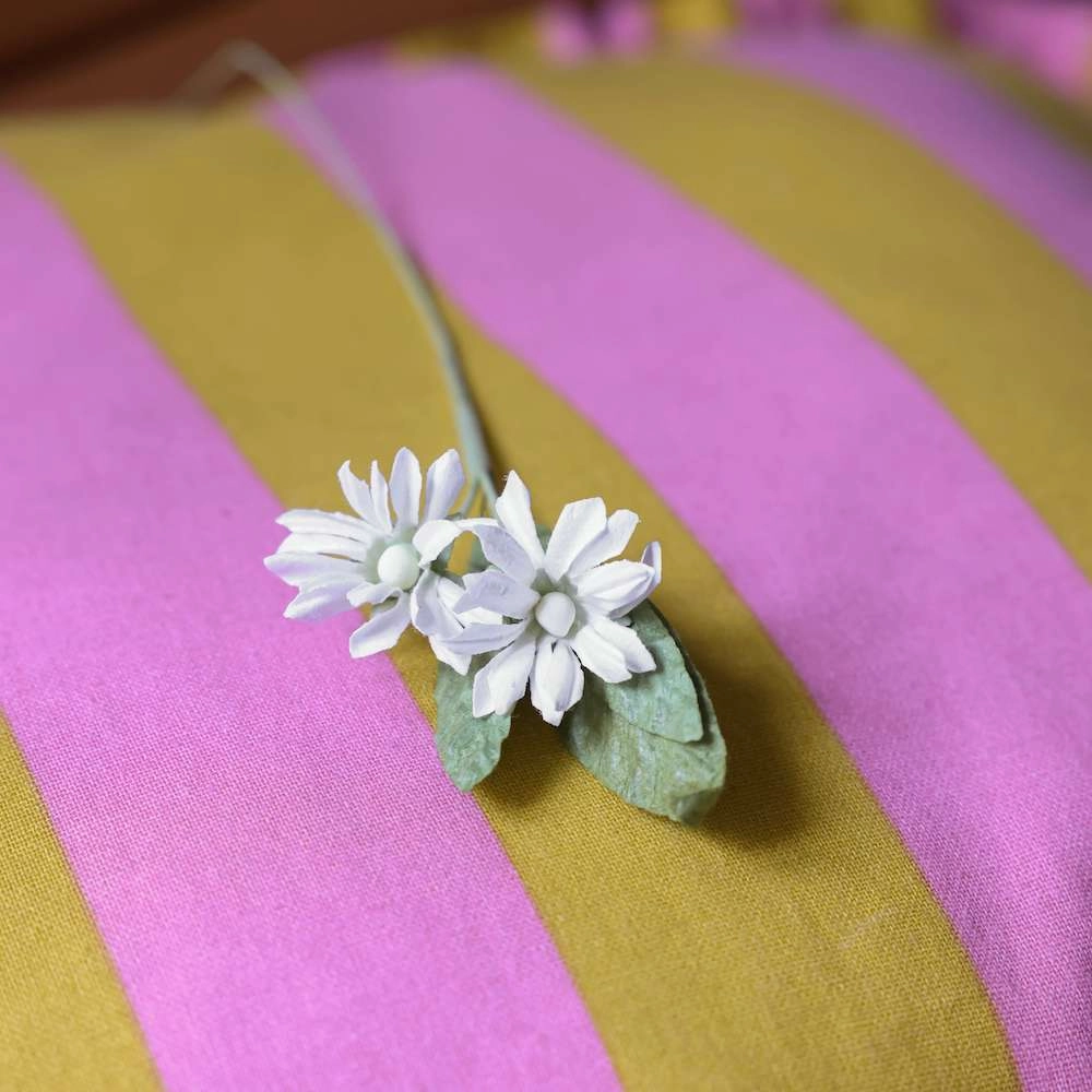 Marguerites sauvages en papier blanche