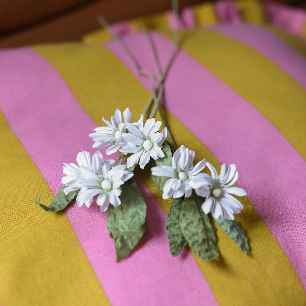 Marguerites sauvages en papier blanche