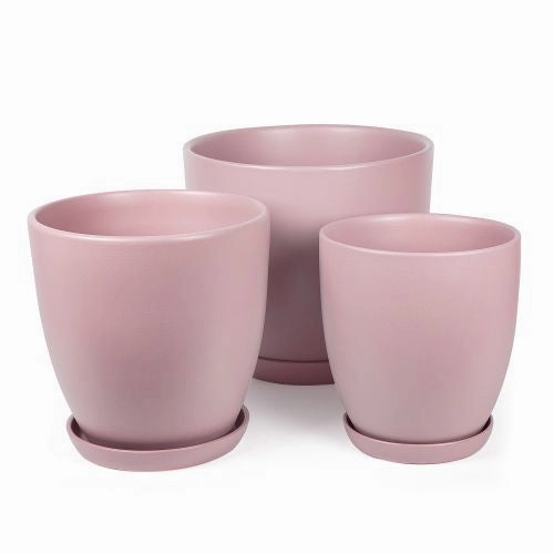 Matte Blush Pot with Saucer,terracotta plant pot