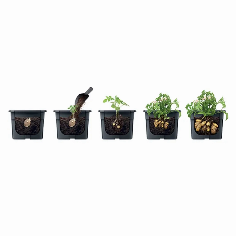 Maze Potato Grower Planter 300