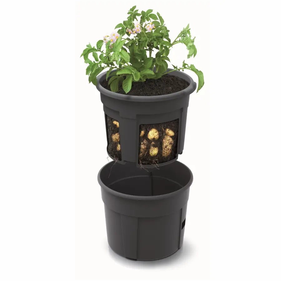 Maze Potato Grower Planter 300