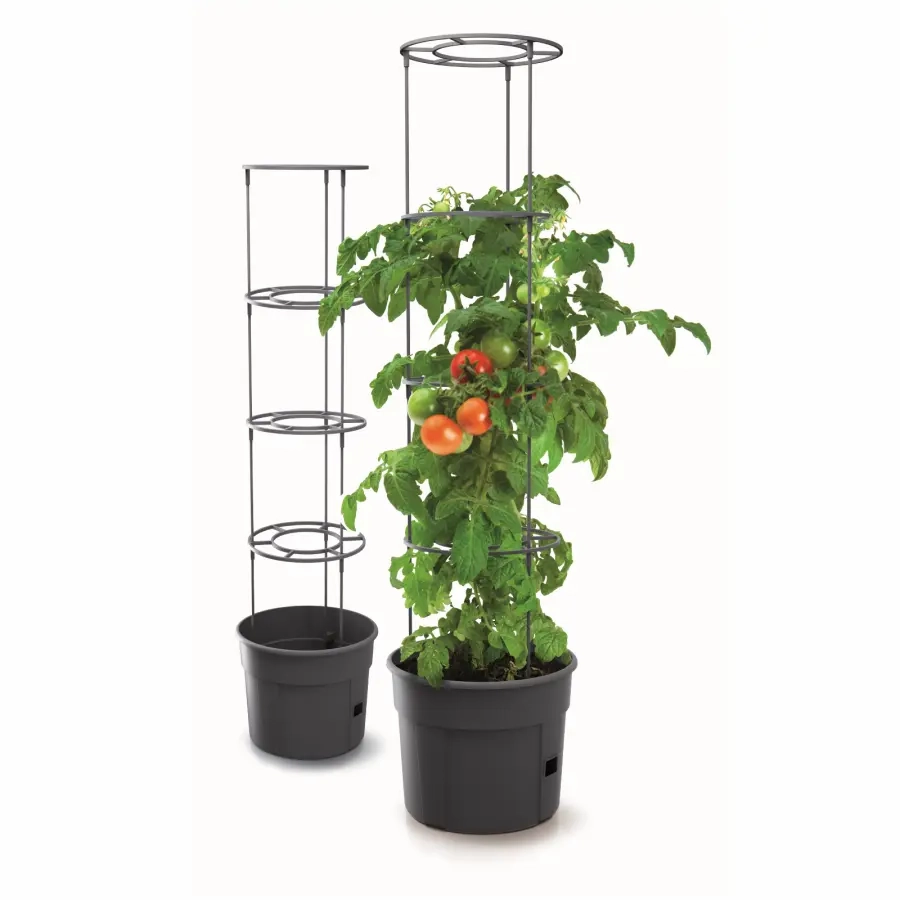 Maze Tomato Grower Planter 300