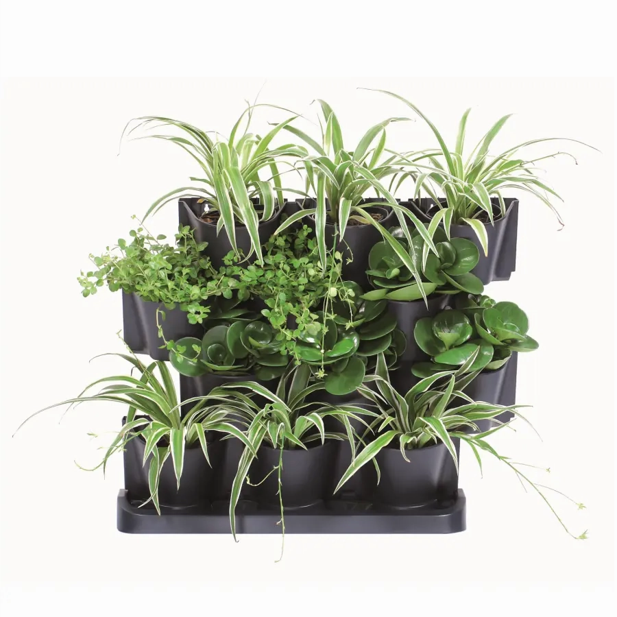 Maze Vertical Garden Cascade