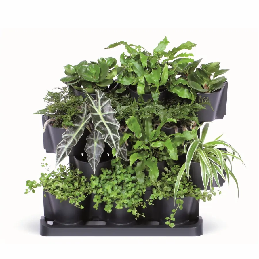 Maze Vertical Garden Cascade
