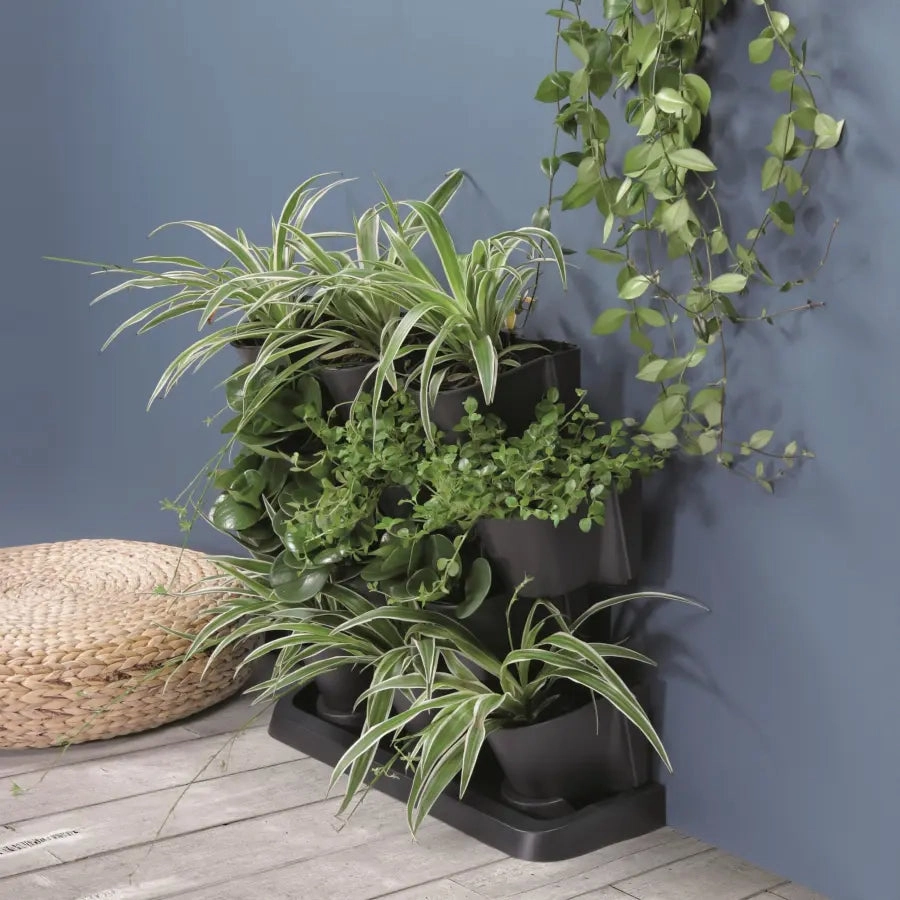 Maze Vertical Garden Cascade