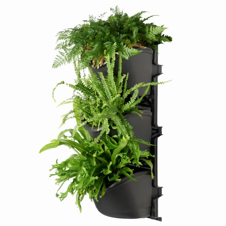 Maze XL Three Tier Vertical Garden (Set of 2)