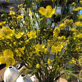 Meadow Buttercup Spray with Leaves 70cm,dried artificial flower