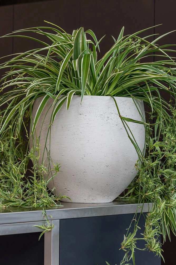 Mini Orb Pot Grey Washed Large