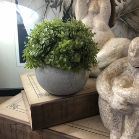 Miniature Hebe Veronica In Pot 13cm,dried artificial flower