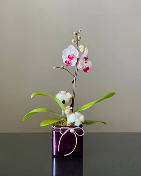 Miniature Orchid,funeral flower decor